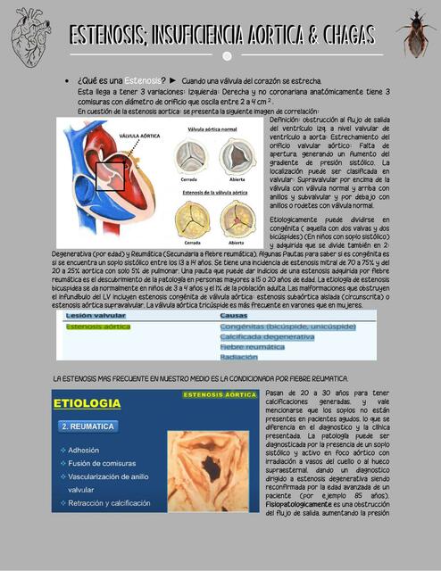 Resumen Medicina Interna 