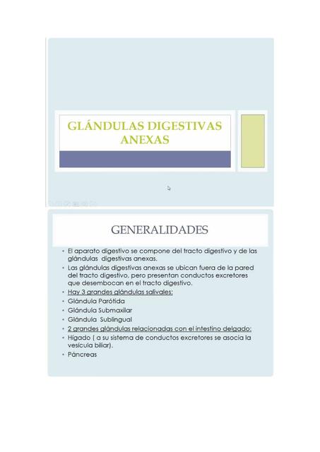 Glándulas digestivas anexas