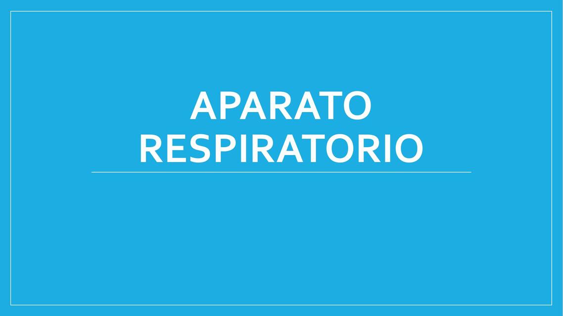 Aparato Respiratorio