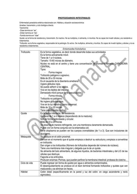 Protozoarios Intestinales 