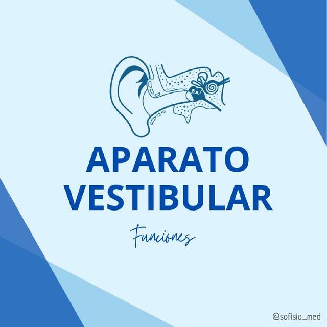 Aparato vestibular