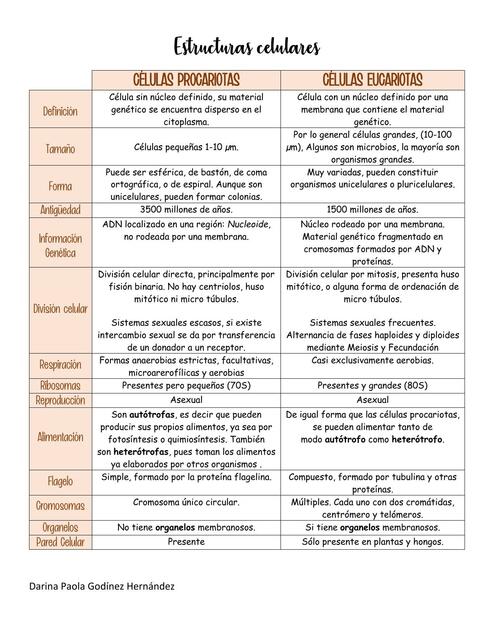 Estructuras celulares