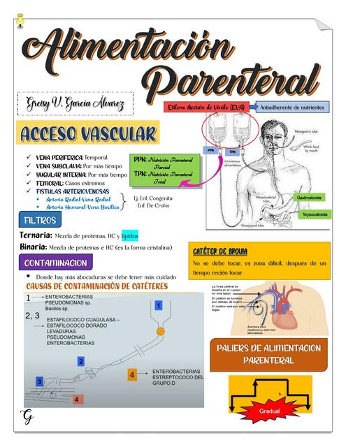 Alimentación parenteral