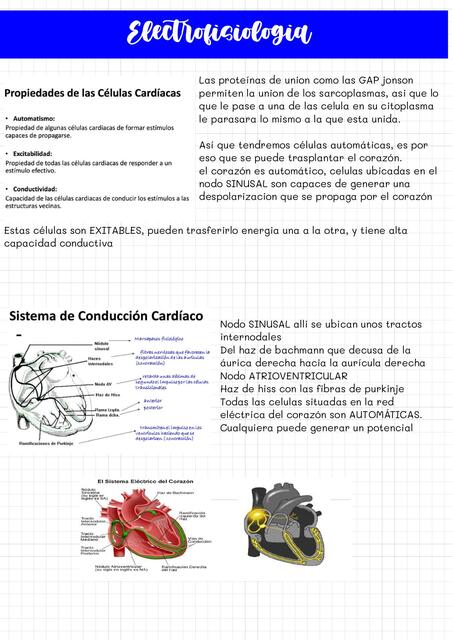 Electrofisiología