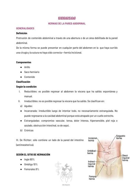 Repaso anatómico de las Hernias de la pared abdominal 