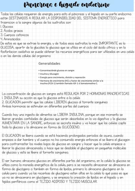 Páncreas e Hígado Endocrinos 