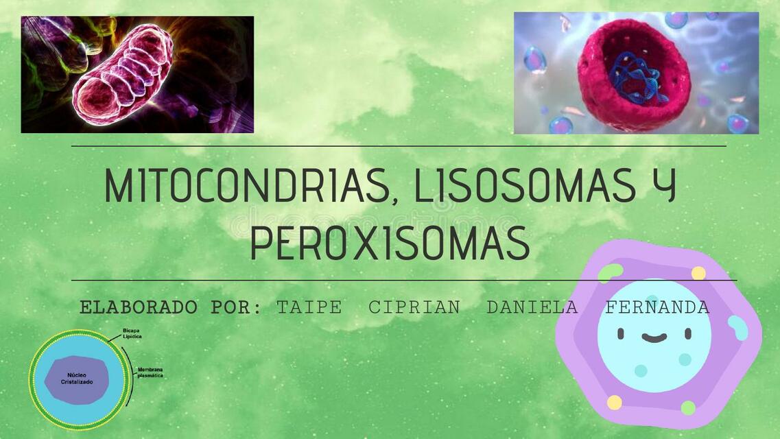 Mitocondrias, Lisosomas y Peroxisomas 