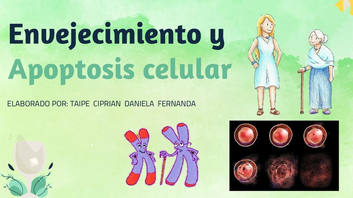 Envejecimiento y Apoptosis Celular