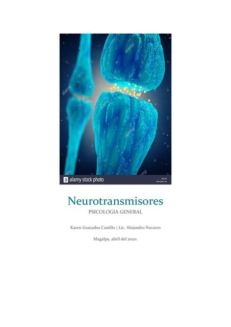 Neurotransmisores