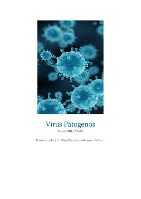 Virus Patogenos