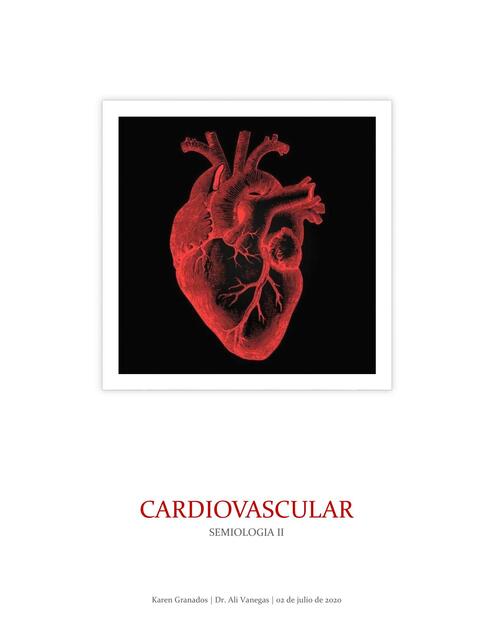 Cardiovascular