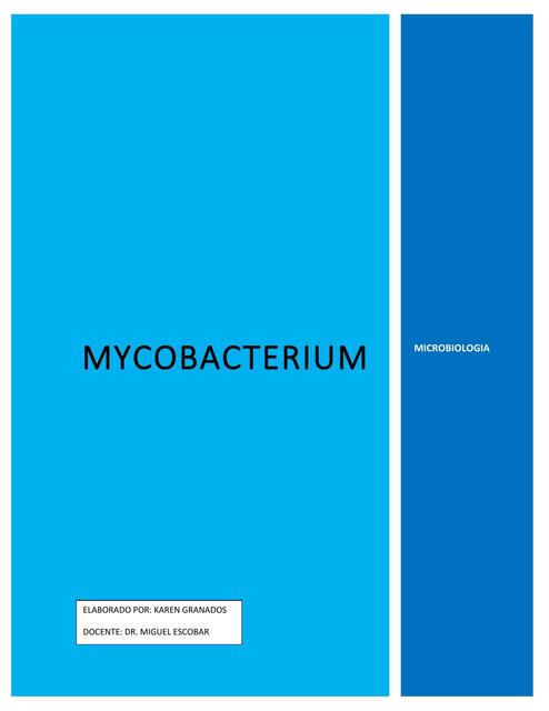 Mycobacterium