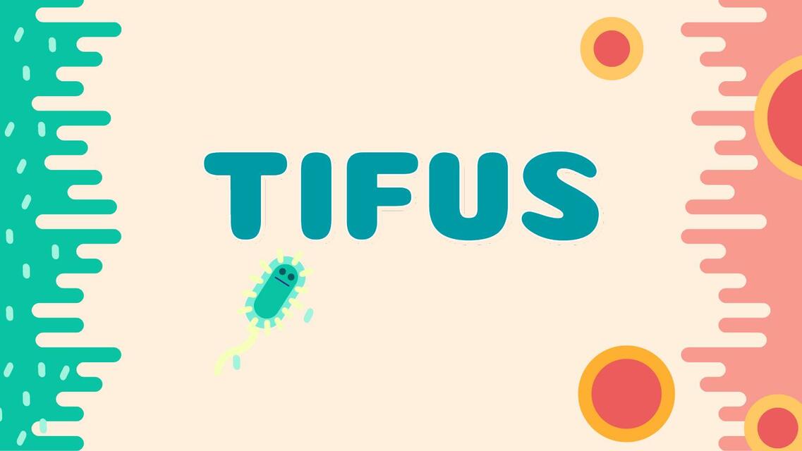 Tifus 