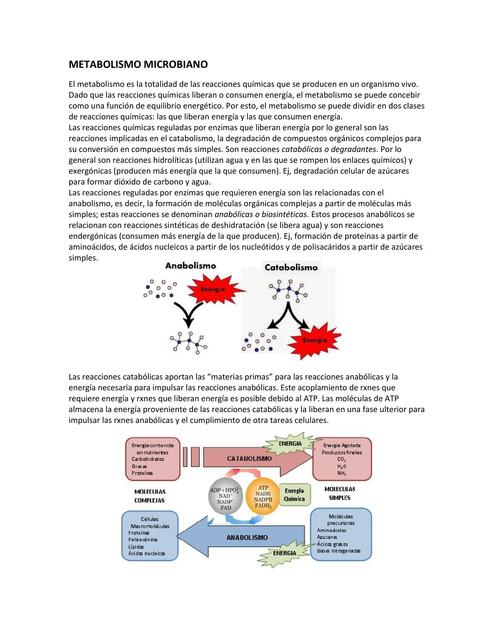 Metabolismo Microbiano - Nutrición Microbiana - Microbiologia I - Universidad Nacional de Rio Cuarto (UNRC)