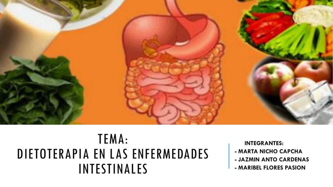 Dietoterapia en las Enfermedades Intestinales 