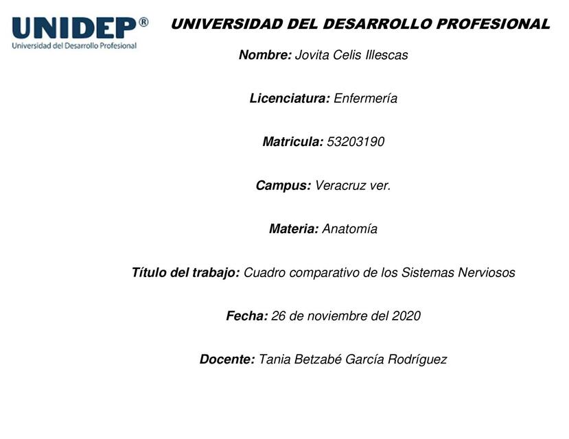 Cuadro comparativo de los Sistemas Nerviosos