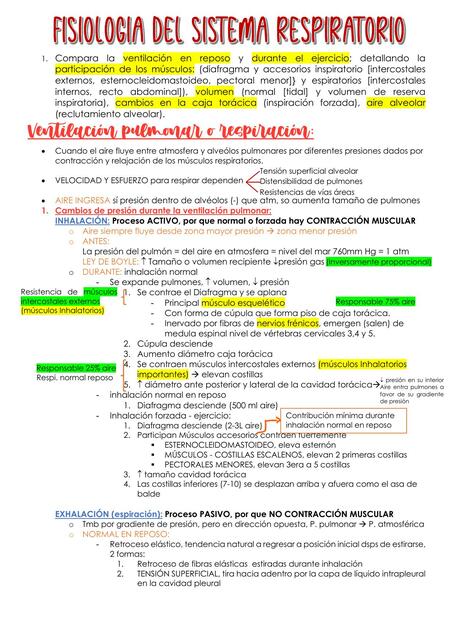 Fisiología del Sistema Respiratorio