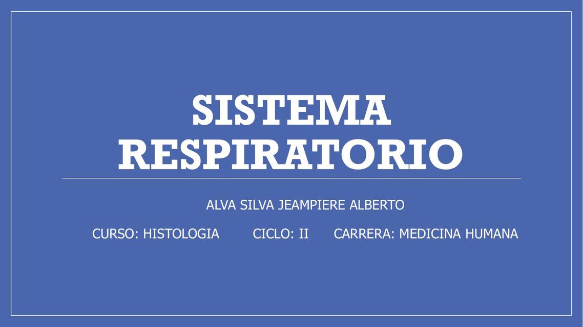 Sistema Respiratorio