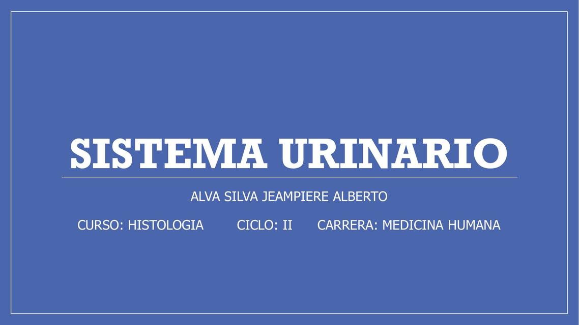 Sistema urinario