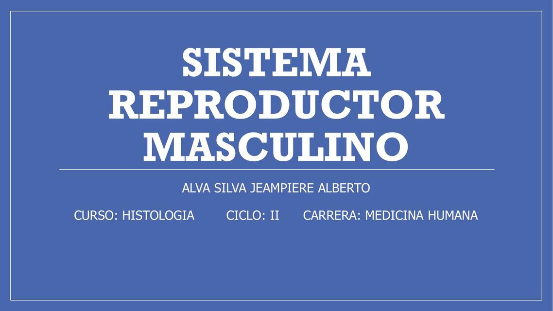 Sistema Reproductor Masculino 