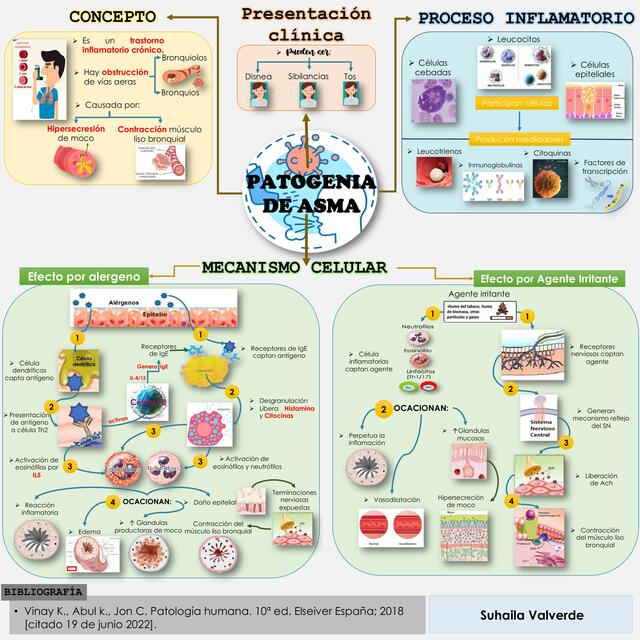Patogenia de Asma