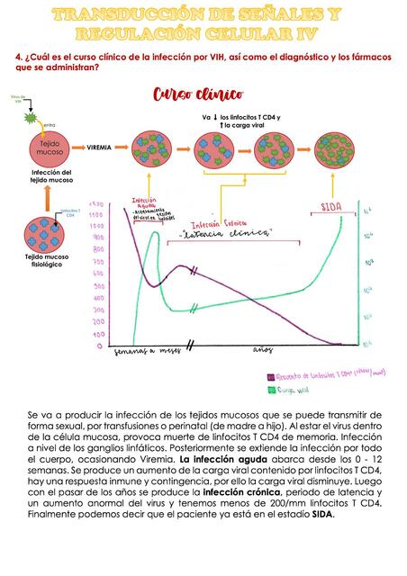 Transducción de señales y regulación celular IV