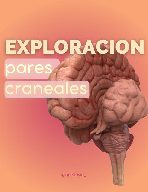 Exploración de Pares Craneales