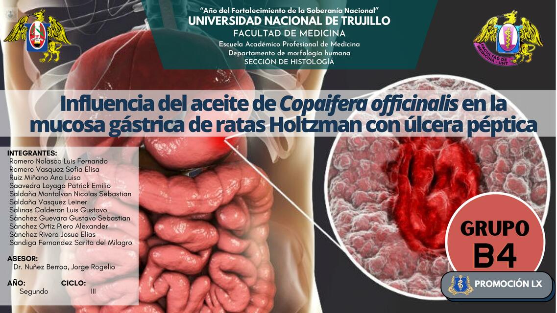 Influencia del aceite de Copaifera officinalis en la mucosa gástrica de ratas Holtzman con úlcera péptica