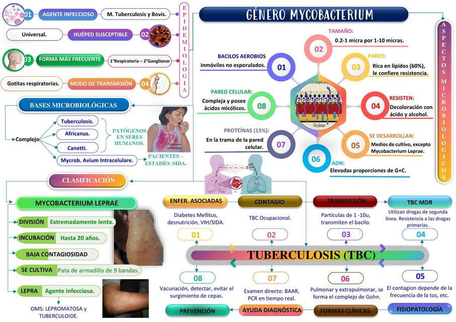 Género Mycobacterium