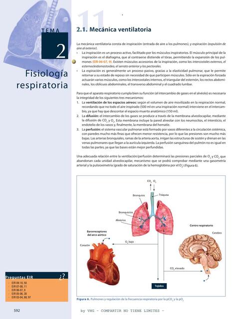 Mecánica ventilatoria