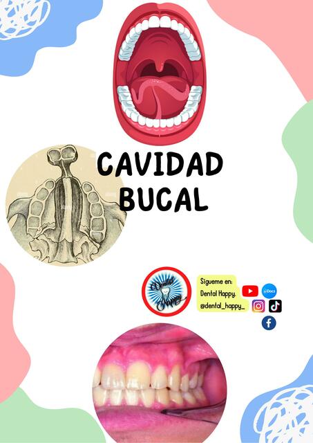 Cavidad Bucal