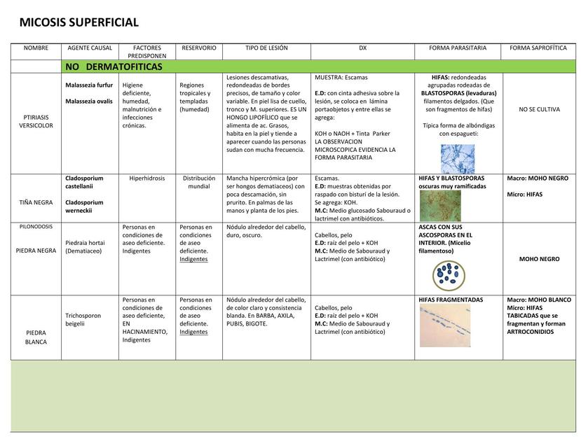 Micosis superficial