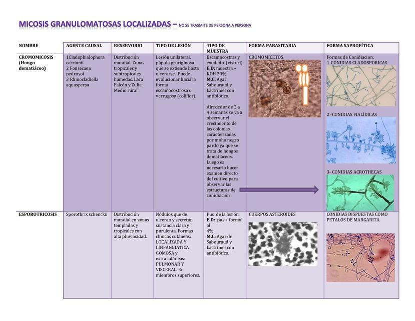 Micosis Granulomatosas Localizadas