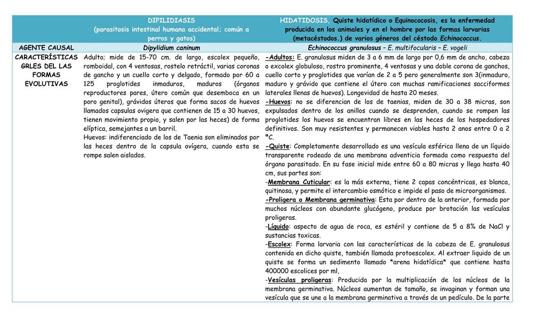 Dipilidiasis Hidatidosis