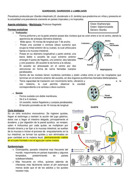 Giardiasis, giardiosis o lambliasis