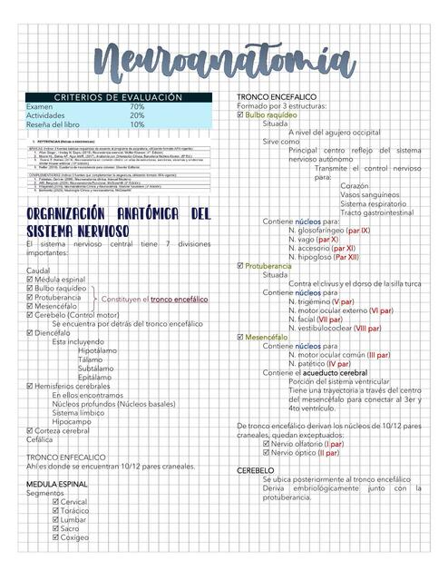 Neuroanatomía