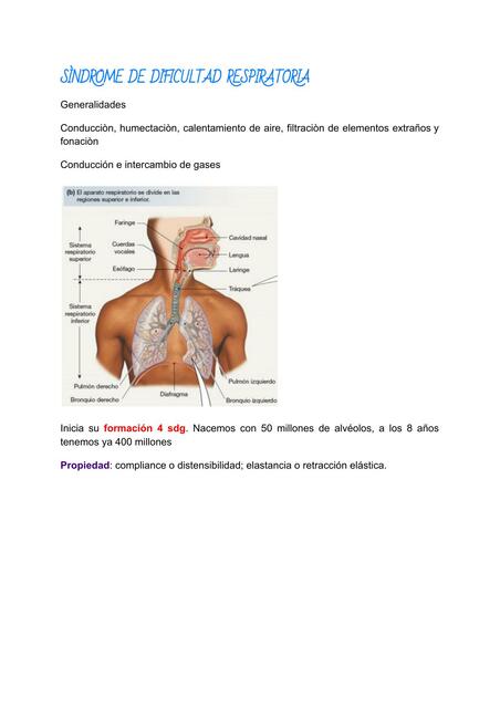 Síndrome de dificultad respiratoria