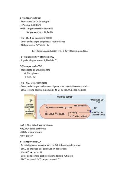 Transporte de Gases O2 y CO2