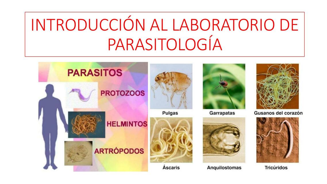 Introducción al Laboratorio de Parasitología