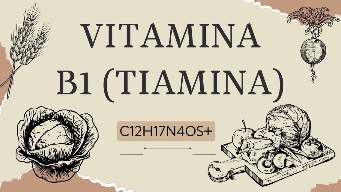 Vitamina B1- Tiamina 