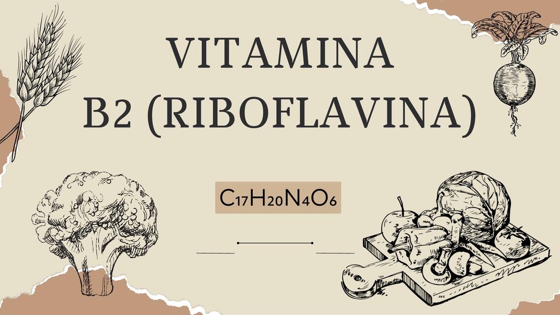 Vitamina B2- Riboflavina