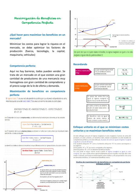 Maximización de Beneficios en Competencia Perfecta