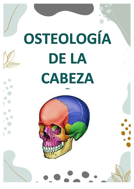 Osteología de la Cabeza