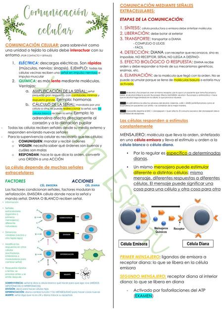 Comunicación celular