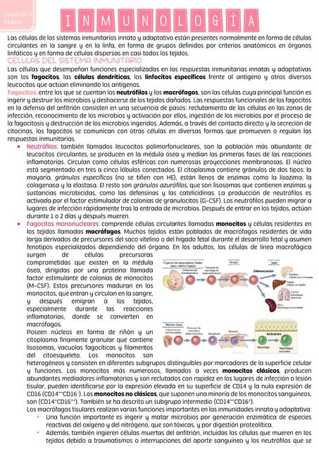 Inmunología 2 