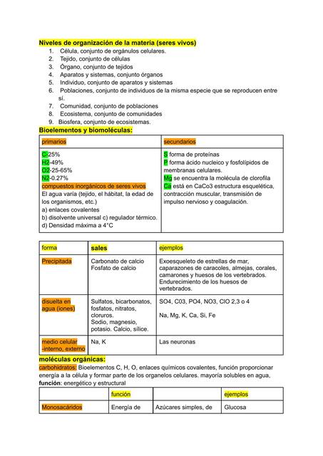 Célula Resumen Básico