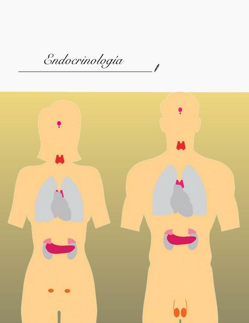 Introducción A La Endocrinología