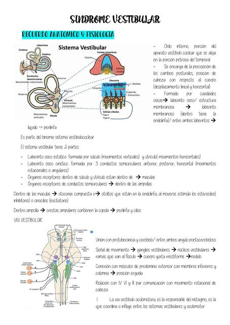 Síndrome Vestibular