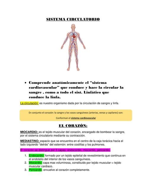 Sistema Cardiovascular