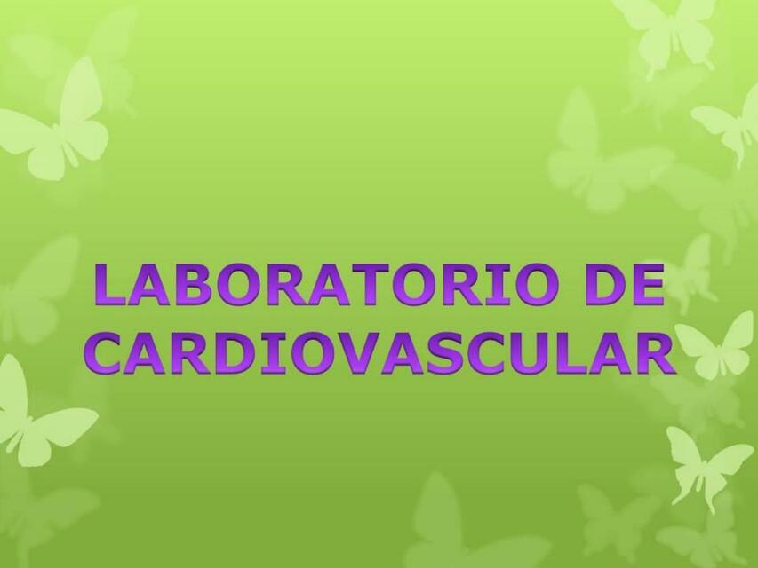 Sistema Cardiovascular